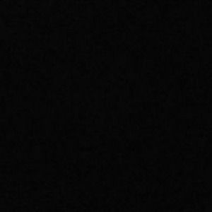 Meet your Posher, Bebee